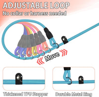 FOVRLZSE 5-Pack Dog Slip Leashes 4.6FT Nylon Training Lead - Master Hue - image 4