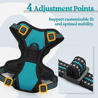 rabbitgoo Dog Harness No Pull with 2 Leash Clips, Adjustable Soft Padded, Reflective Oxford No Choke Pet Vest with Easy Control Handle for Puppy, Teal, XS
