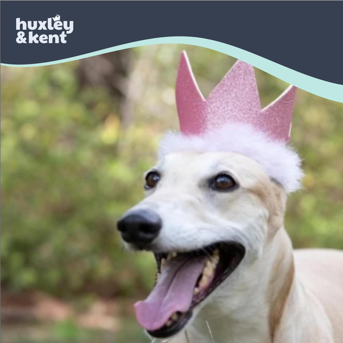 Huxley & Kent Party Crown Hat for Dogs & Cats - Small / Pink - image 3
