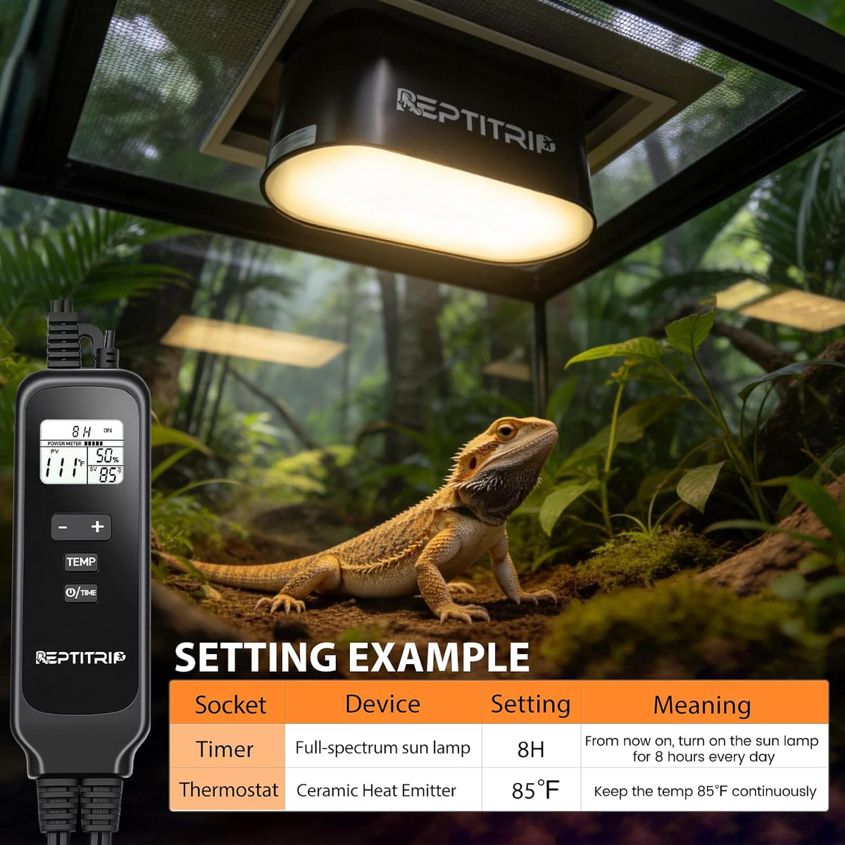 Reptile Heat Lamp Fixture, Dual Light Fixture with Two Switches – Essentials for Reptiles And Amphibians - Heat Lamp+Thermostat - image 2