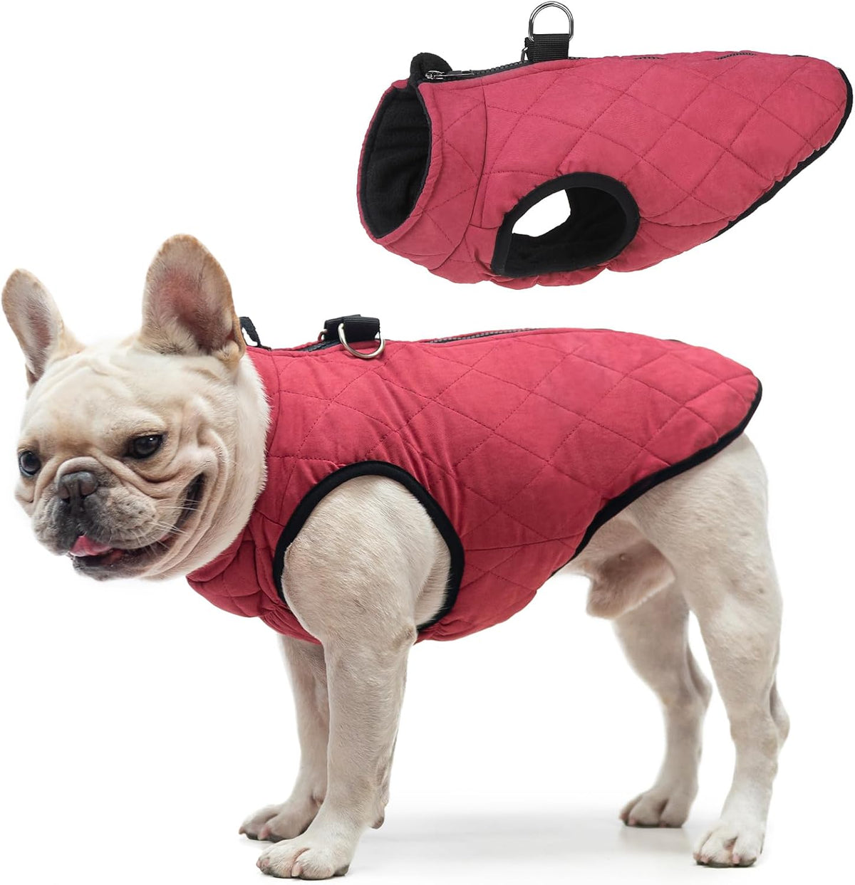 Winter Dog Vest Coat with Harness Built in – Essentials for Dogs - #1 Red - Matte / XL(Chest 21.5")-Regular