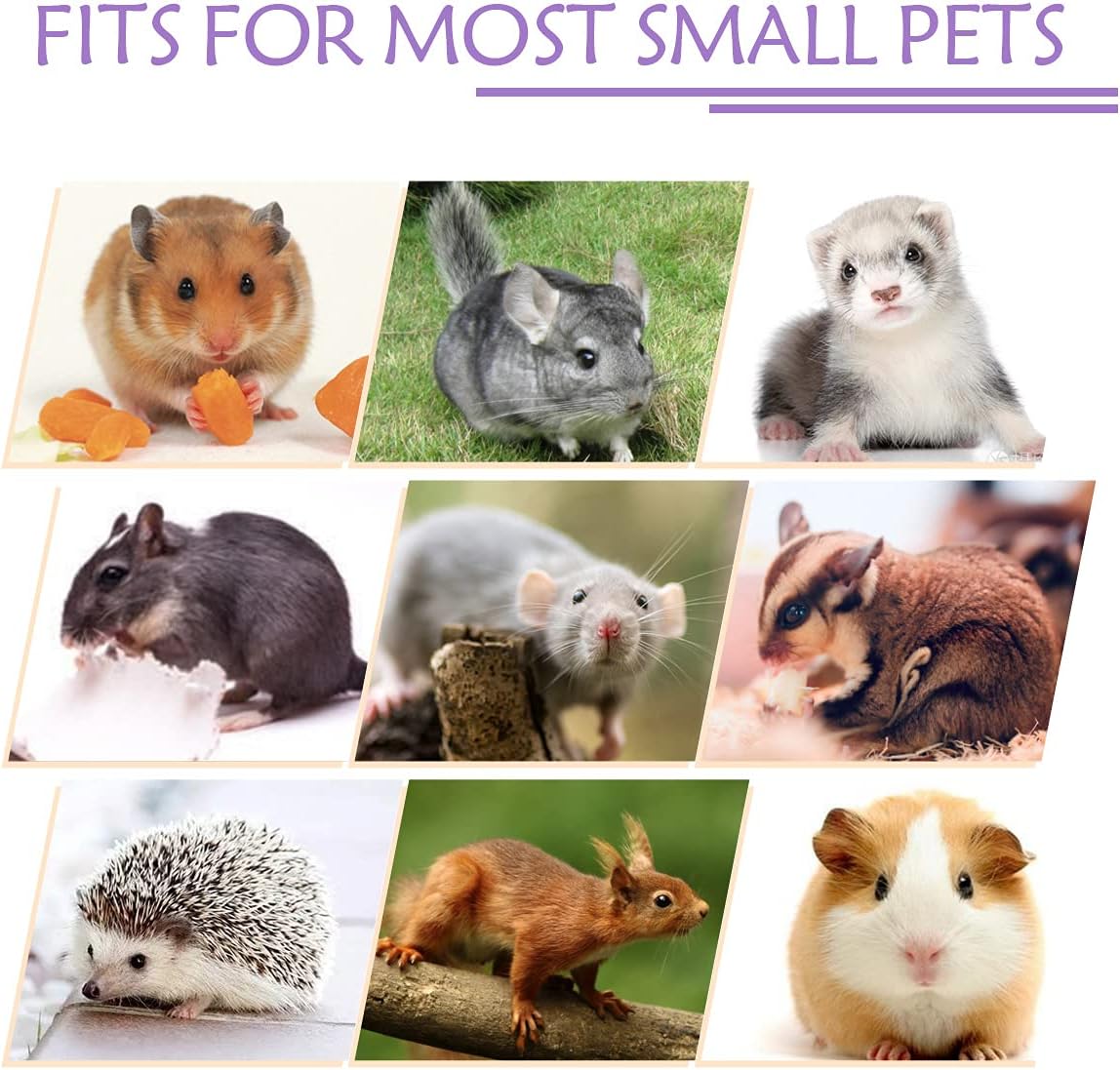 LEFTSTARER Guinea Pig Accessories Sugar Glider Cage Accessories - purple-star / Star - image 3
