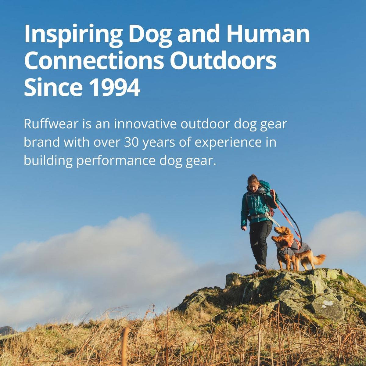Ruffwear, Front Range Flex Dog Chest Harness - Polar Blue / Small - image 3