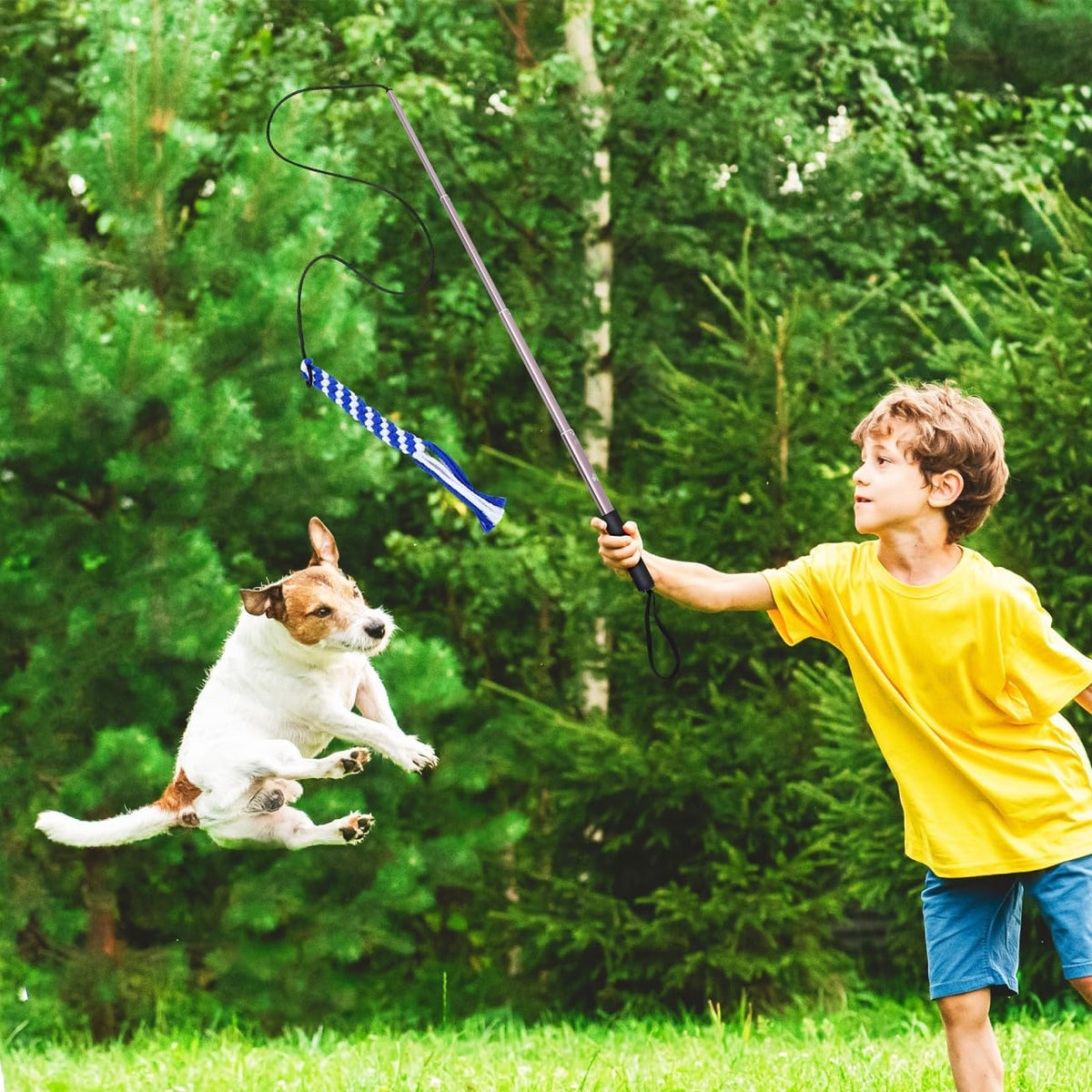 POPETPOP Flirt Pole for Dogs Interactive Dog Toys - image 3