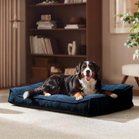 FURTIME XL Orthopedic Dog Bed Large Sized Dog - Blue / 45"L x 32"W x 9.5"Th