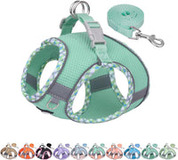 Breathable Dog Harness Small Sized and Leash Set - Turquoise / XXS(Chest: 10 - 11.5")