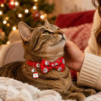 2 Pack Halloween Cat Collars with Bells, Breakaway - Santa & Candy Cane - image 2