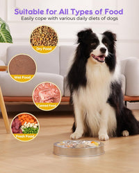 Slow Feeder Dog Bowls – Stainless Steel Non-Slip Metal Bowl for Slow Feeding, 5 Cups Large - Large - image 3