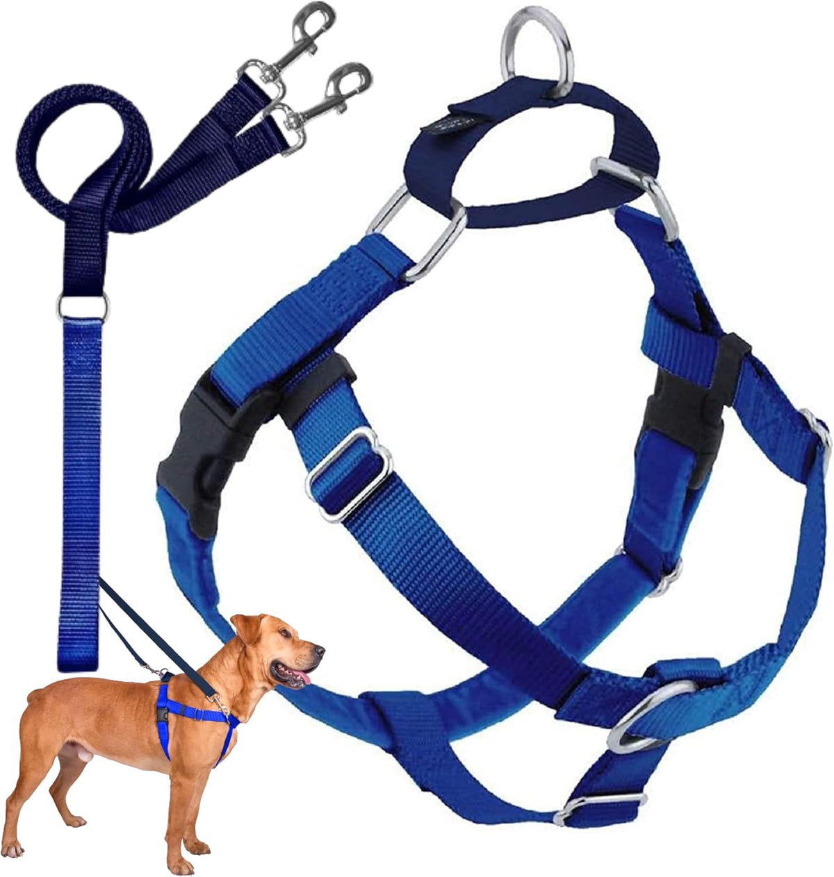 2 Hounds Design Freedom No Pull Dog Harness and Leash, 1" LG - Royal Blue / LG (Chest 28" - 32")