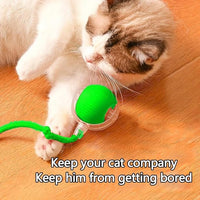 Interactive Cat Toys Ball for Indoor Cats, Self Moving Cat Toys Electric Rolling Balls, Realistic Mouse & Chase for Hunting and Exercise (Green)
