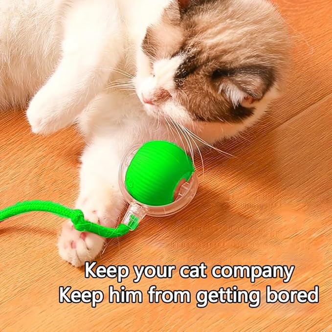 Interactive Cat Toys Ball for Indoor Cats, Self Moving Cat Toys Electric Rolling Balls, Realistic Mouse & Chase for Hunting and Exercise (Green)