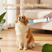 Cat Steam Brush with 600W High-Power Pet Dryer, Pet Spray Hair Removal Comb, 5 in 1 Cat & Dog Brush for Shedding, Includes Shampoo(Wired)