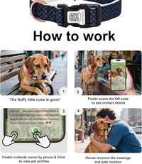 Dog Collar with Waterproof AirTag Holder & Anti-Lost QR Code, Cute Bling Warpping Adjustable Width for Small Medium Large Pet (Blue, L)