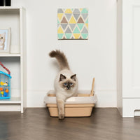 IRIS USA Top Entry Cat Litter Box, Hooded Privacy - Open Top / Beige - image 4