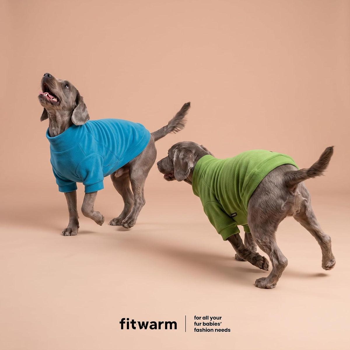 Fitwarm 3 Pack Classic Fleece Dog Sweater - Medium / Bright Blue Green Brown - image 4