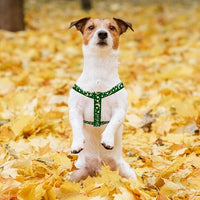 PUPTECK No Pull Dog Harness Soft Adjustable Basic Nylon Step in Puppy Vest Outdoor Walking with ID Tag, Moon Star Green, S