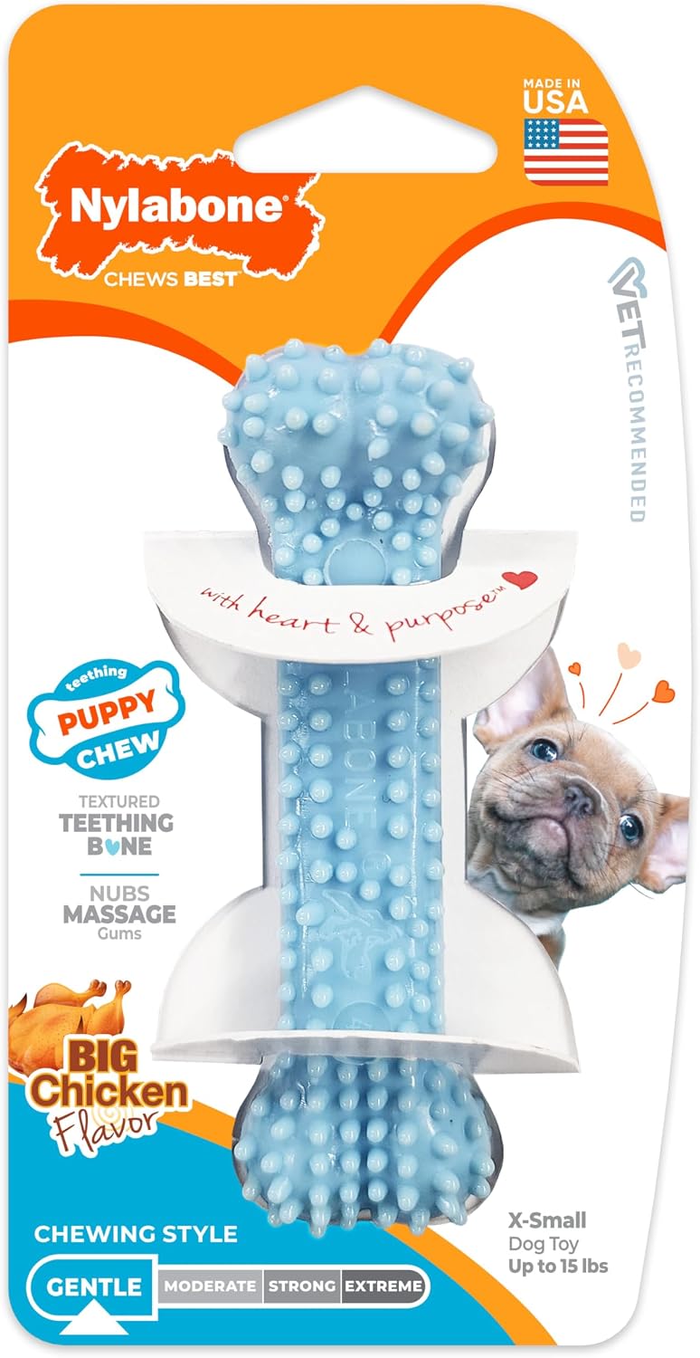 Nylabone Puppy Pacifier Chew Toy - Blue / X-Small