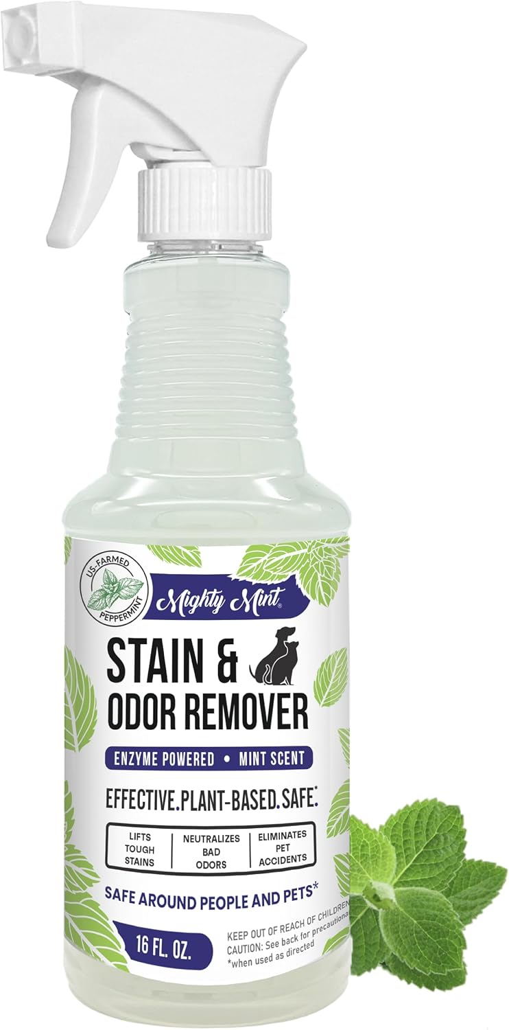 Mighty Mint Stain & Odor Remover