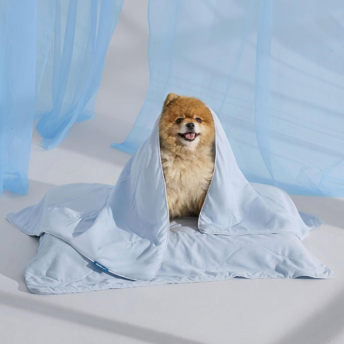 Bedsure Breathable Lightweight Cooling Blanket for Small Dogs - S(25x35") / Arctic Blue