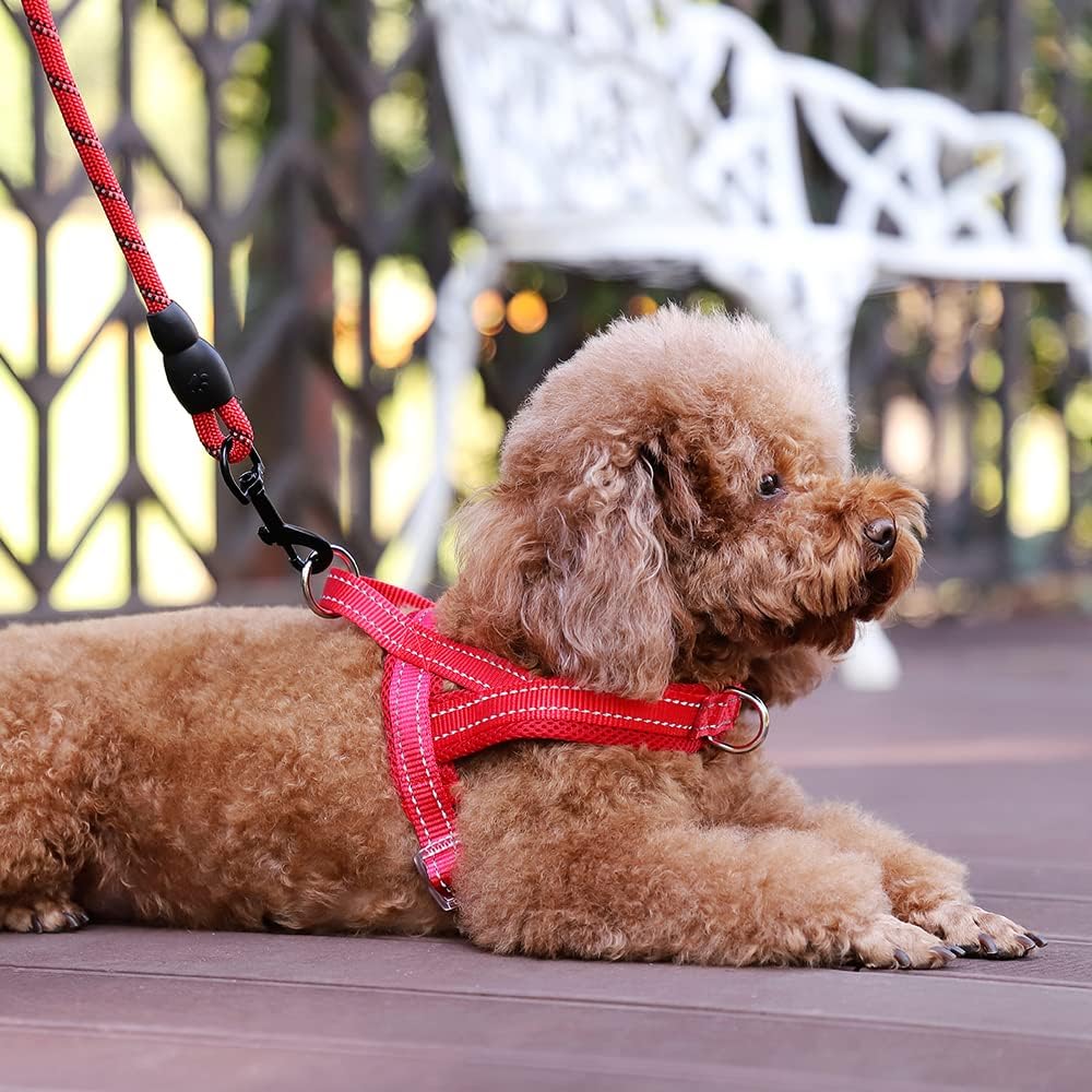 Plutus Pet No Pull Dog Harness with Front Clip - XS: chest 13.8"-17.3" / Red - image 2