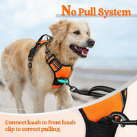 rabbitgoo Dog Harness No Pull with 2 Leash Clips, Adjustable Soft Padded, Reflective Oxford No Choke Pet Vest with Easy Control Handle for Large Dogs,Orange,L