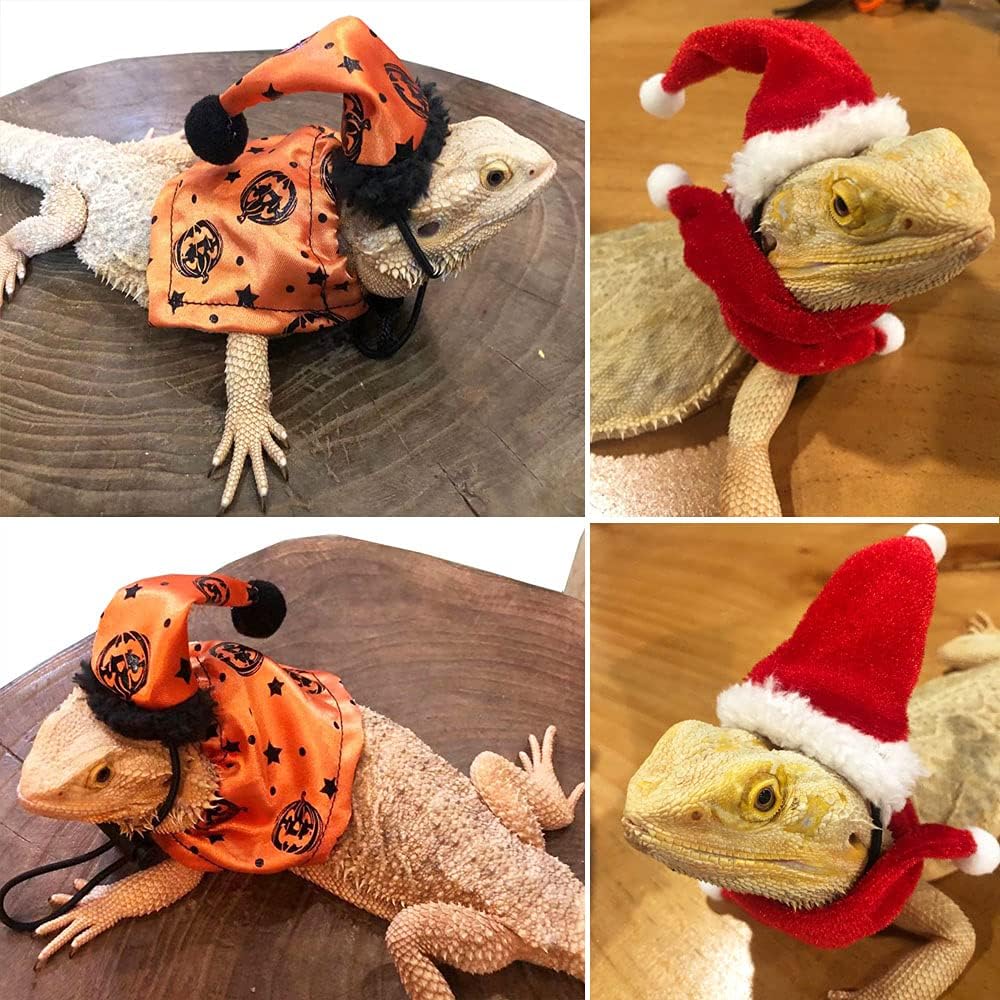 Halloween Christmas Bearded Dragon Costume Clothes, 2 Set – Essentials for Reptiles And Amphibians - image 2