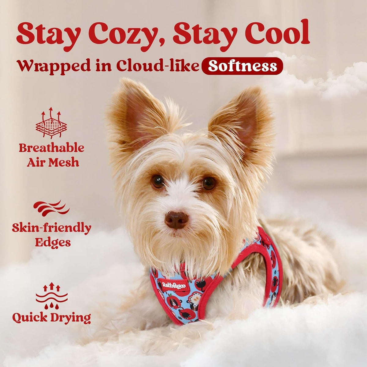 rabbitgoo Step-in Small Dog Harness - Apple Pups / L(chest:18.2"-20.5") - image 3