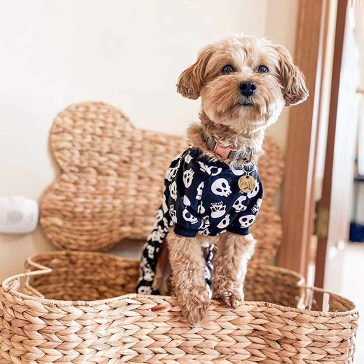 CuteBone Dog Halloween Pajamas Puppy Onesies Small Dogs Soft Pjs Coat - Small / Skulls - image 2