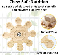 2Pcs Rotating Chinchilla Chew Toys - 2pcs / Small - image 3