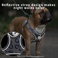 Dog Harness with Leash Set, No Pull Adjustable Step in Pet Vest – Essentials for Dogs - Gray-2 / Medium - image 3
