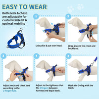 Lukovee Small Dog Harness and Leash Set, No Pull Soft Padded, XS - Blue / XS ( Chest 14'' ~ 18'') - image 3