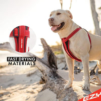 EzyDog Chest Plate No Pull Dog Harness, Escape Proof - Orange / X-Large - image 3