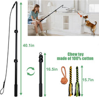 Flirt Pole for Dogs Heavy Duty 40inch Extendable Aluminum Alloy Dog - 40in/3-section - image 2