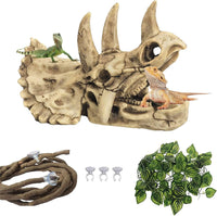 kathson Reptile Resin Dinosaur Skull Decoration Bearded Dragon Tank - Type：Dinosaur