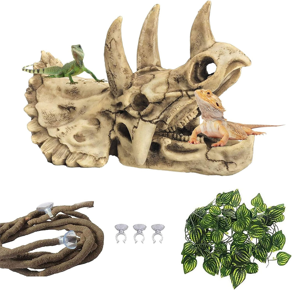 kathson Reptile Resin Dinosaur Skull Decoration Bearded Dragon Tank - Type：Dinosaur