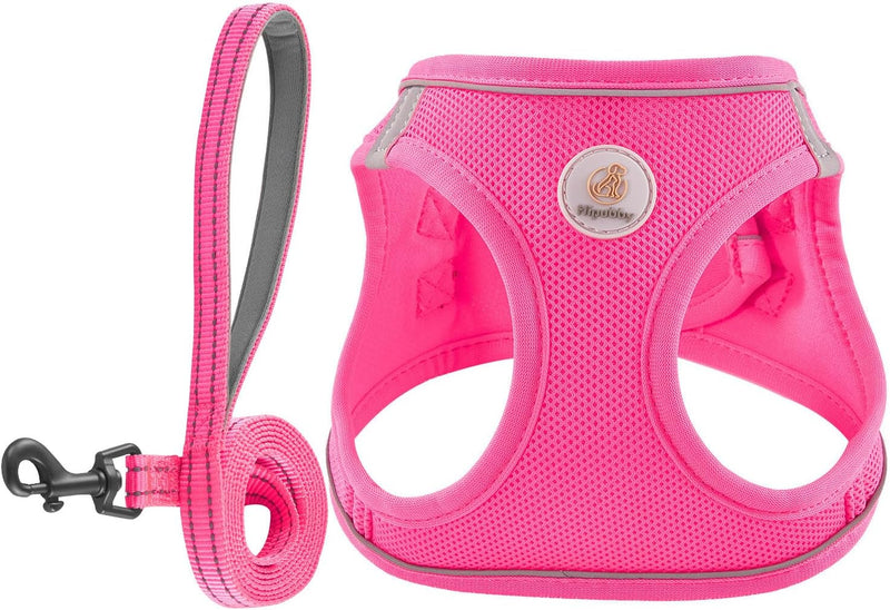 Hipubby Dog Harness and Leash Set - Rose Red / L (Chest: 19"-21")
