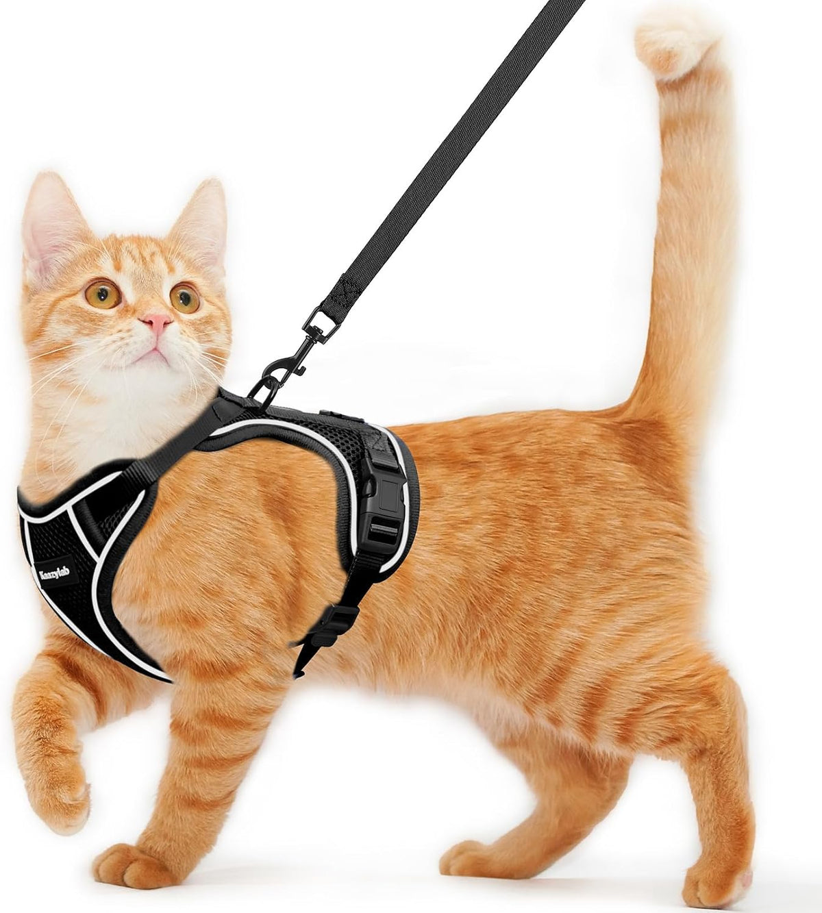 Cat Harness and Leash for Walking Escape Proof Soft Adjustable Cat - Black / XS (4-6lb)