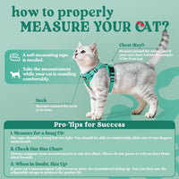 rabbitgoo Cat Harness and Leash Set, Escape Proof Vest - Xxs / Cherry Grove - image 2