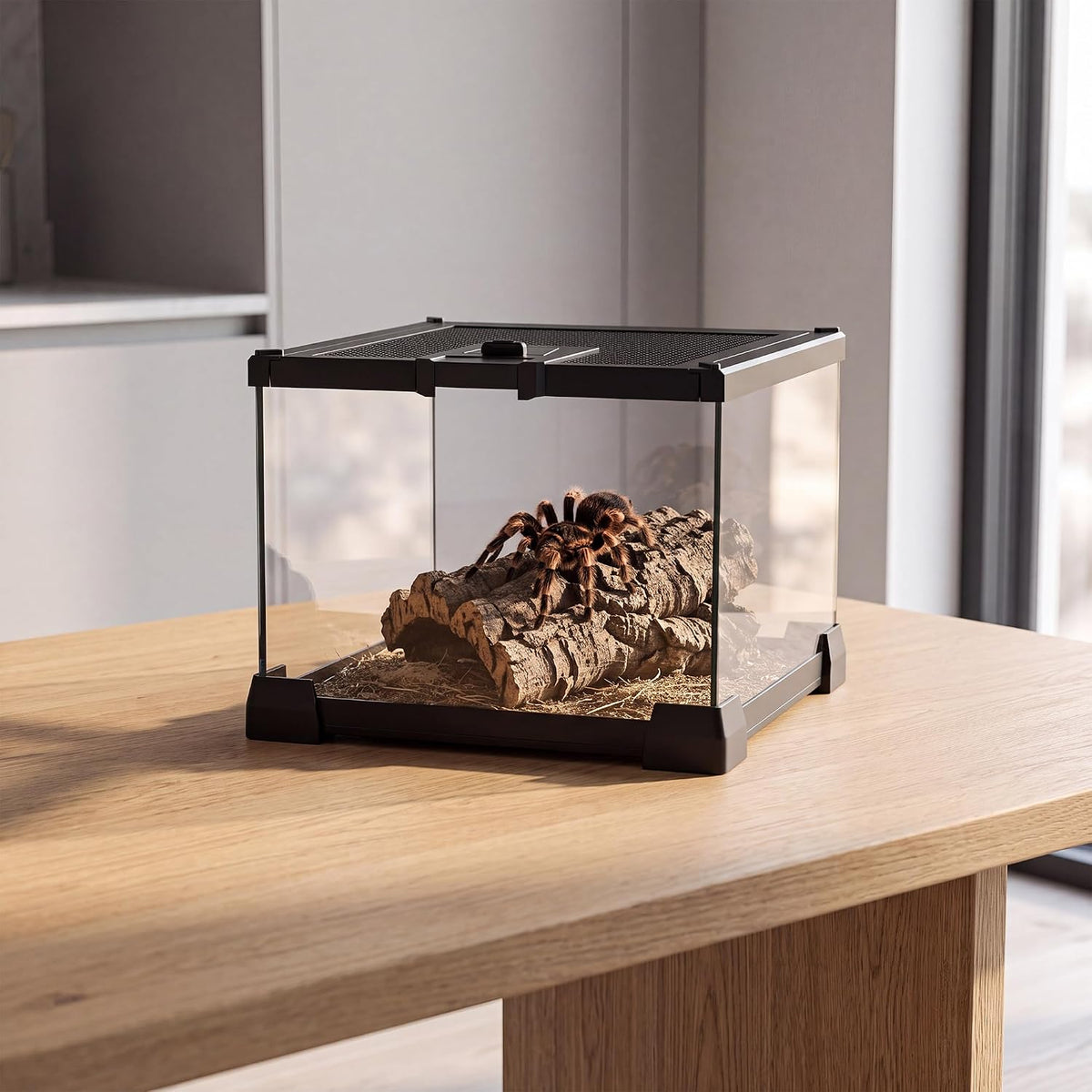 Folding Reptile Travel Terrarium Tank 17" × 12" × 10" – Essentials for Reptiles And Amphibians - 8" x 8" x 6" - image 2