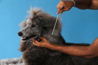 Andis 68550 Stainless Steel Pet Dematting Comb - 7 1/2 Inch - image 3