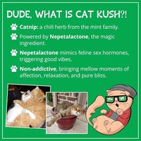 Organic Catnip by Cat Kush, Safe Premium Blend Perfect for Cats, Instilled with Maximized Potency your Kitty is Guaranteed to Go Crazy for! (1 Cup)