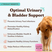 Natural Dog Company Cranberry Supplement for Dogs - Urinary & Bladder Support - D-Mannose for Dog Promotes Bladder Health - Turkey Flavor - Dog UTI Incontinence Supplement - 90 Soft Chews