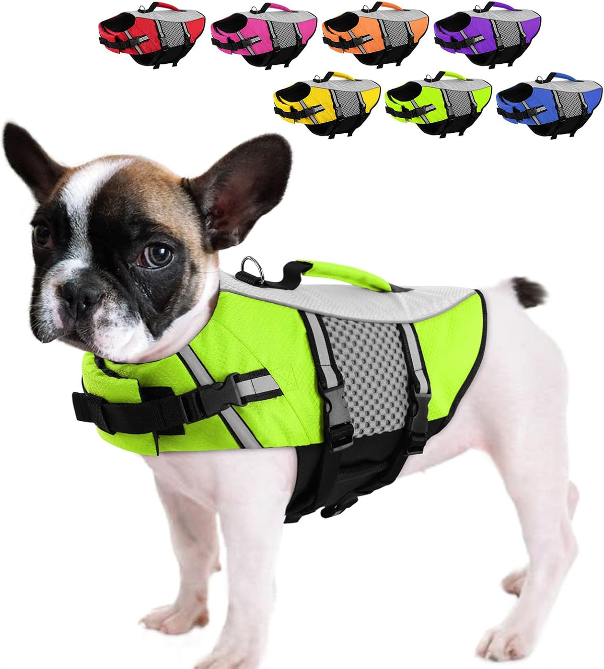 Dog Life Jacket, Small Float Vest for Swimming Boating Kayaking - Large / Green