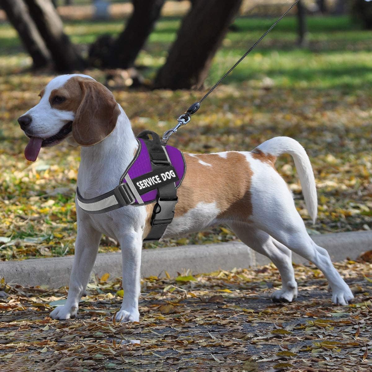 JSXD Dog Harness,No-Pull Service Dog Harness with Handle Adjustable Outdoor Pet Dog Vest 3M - L / Purple - image 4