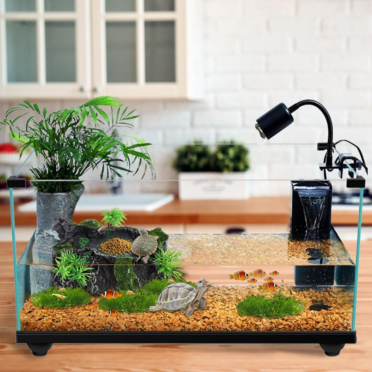 PINVNBY Reptile Water Dish, Snake Water Bowl - With Moss - image 4