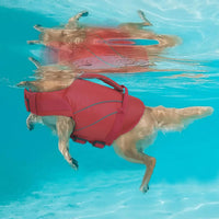 Queenmore Dog Life Jacket with Front Float - Large / Red - image 3