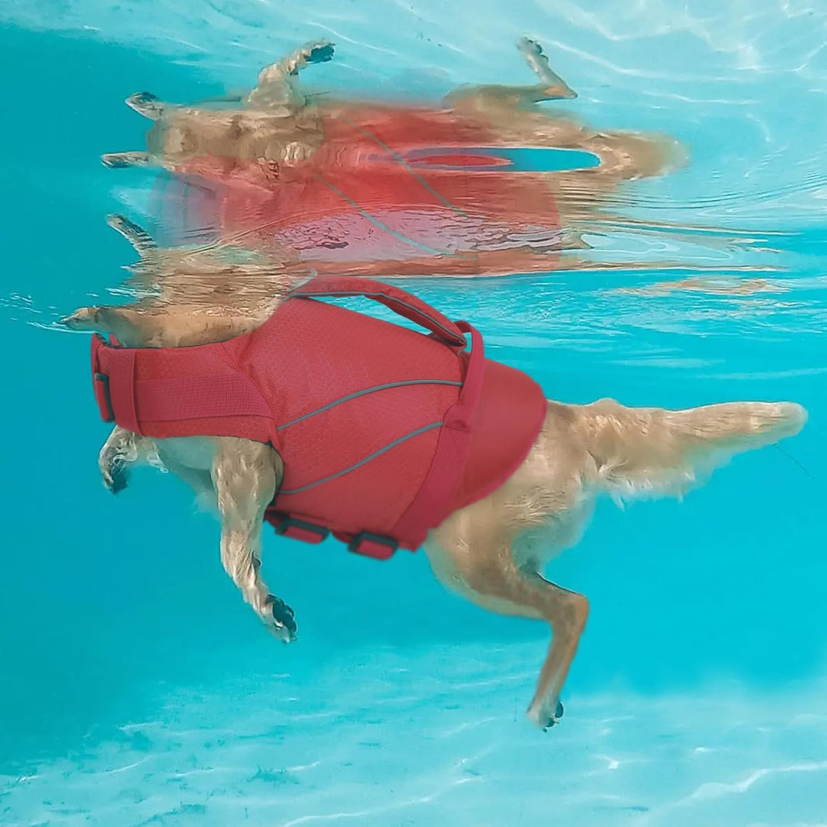 Queenmore Dog Life Jacket with Front Float - Large / Red - image 3
