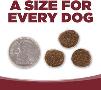 NutriSource Dry Dog Food, Beef and Rice, 4LB