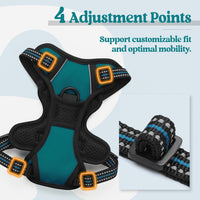 rabbitgoo Dog Harness, No Pull for Large Dogs with 2 Leash Clips - X-Small / Blue Coral - image 4