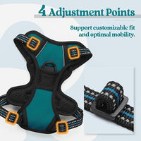 rabbitgoo Dog Harness No Pull with 2 Leash Clips, Adjustable Soft Padded, Reflective Oxford No Choke Pet Vest with Easy Control Handle for Puppy, Blue Coral, XS